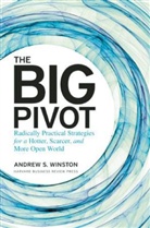 Andrew S. Winston, Winston Andrew S. - The Big Pivot