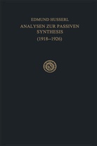 M Fleischer, M. Fleischer, Edmun Husserl, Edmund Husserl - Analysen zur Passiven Synthesis
