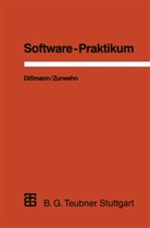 Stefan Dißmann, Volke Zurwehn, Volker Zurwehn - Software-Praktikum