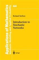 Richard Serfozo - Introduction to Stochastic Networks