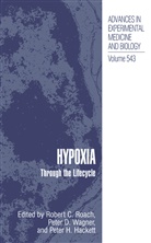 Robert C. Roach, Pete D Wagner, Peter D Wagner, Peter D. Wagner, Peter H Hackett, Peter H. Hackett... - Hypoxia