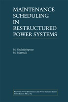 M Marwali, M. Marwali, Shahidehpour, M Shahidehpour, M. Shahidehpour - Maintenance Scheduling in Restructured Power Systems