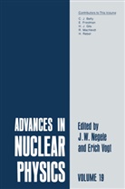 J. W. Negele, J.W. Negele, John W. Negele, Erich Vogt, Erich W. Vogt, W Negele... - Advances in Nuclear Physics. Vol.19