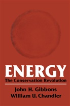 John Gibbons - Energy