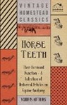 Various - Horse Teeth - Their Form and Function - A Collection of Historical Articles on Equine Anatomy