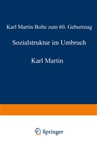 Stefa Hradil, Stefan Hradil - Sozialstruktur im Umbruch