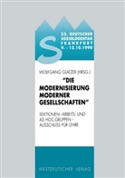 Wolfgang Glatzer - Die Modernisierung moderner Gesellschaften