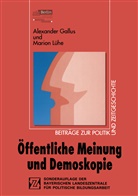 Alexande Gallus, Alexander Gallus, Marion Lühe - Öffentliche Meinung und Demoskopie