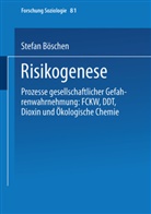 Stefan Böschen - Risikogenese