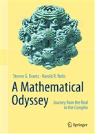 Steven Krantz, Steven G Krantz, Steven G. Krantz, Harold R Parks, Harold R. Parks - A Mathematical Odyssey