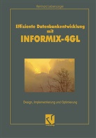 Reinhard Lebensorger - Effiziente Datenbankentwicklung mit INFORMIX-4GL