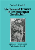 Gerhard Schmied - Sterben und Trauern in der modernen Gesellschaft