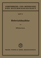 Wilhelm Beetz - Elektrizitätszähler