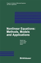 Daniela Lupo, Carl Pagani, Carlo Pagani, Bernhard Ruf - Nonlinear Equations: Methods, Models and Applications