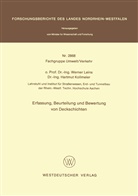 Werner Leins - Erfassung, Beurteilung und Bewertung von Deckschichten