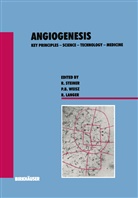Langer, Langer, Steine, Steiner, Steiner, Weis... - Angiogenesis