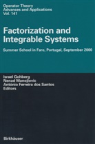 Antonio dos Santos, Antonio F. dos Santos, Antonio F dos Santos, Israel Gohberg, Israel C. Gohberg, Nena Manojlovic... - Factorization and Integrable Systems