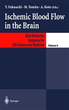 Y. Fukuuchi, A Koto, A. Koto, Tomita, M Tomita, M. Tomita - Ischemic Blood Flow in the Brain