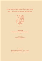 Rudolf Schenck, Rudol Schenck, Rudolf Schenck - Bedingungen und Gang der Kohlenhydratsynthese im Licht / Die Endstufen des Stoffabbaues im Organismus