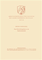 Heinz Goeschel - Neue Entwicklungslinien in der Starkstromtechnik