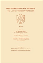 Walter Weizel - Die gegenwärtige Situation der Grundlagenforschung in der Physik. Das Duplikantenproblem in der Biologie. Überlegungen zu den Faktoren Raum und Zeit im biologischen Geschehen und Möglichkeiten einer Nutzanwendung