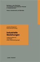 Joachi Bergmann, Joachim Bergmann - Industrielle Beziehungen