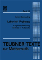Armin Hemmerling - Labyrinth Problems