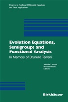 Alfred Lorenzi, Alfredo Lorenzi, Ruf, Ruf, Bernhard Ruf - Evolution Equations, Semigroups and Functional Analysis