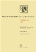 Klaus Knizia - Energieversorgung im Spannungsfeld zwischen Utopie und Realität. Fusionsforschung in der Europäischen Gemeinschaft
