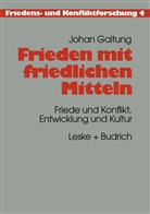 Johan Galtung - Frieden mit friedlichen Mitteln