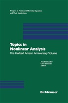 Joachi Escher, Joachim Escher, Simonett, Simonett, Gieri Simonett - Topics in Nonlinear Analysis