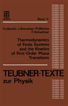 Juern Schmelzer, Jür Schmelzer, Jürn Schmelzer, Jürn W. P. Schmelzer, Fran Schweitzer, Frank Schweitzer... - Thermodynamics of Finite Systems and the Kinetics of First-Order Phase Transitions