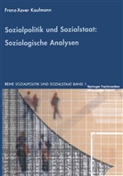 Franz-Xaver Kaufmann - Sozialpolitik und Sozialstaat: Soziologische Analysen