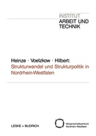 Rolf Heinze, Rolf G Heinze, Rolf G. Heinze - Strukturwandel und Strukturpolitik in Nordrhein-Westfalen