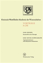 Karl-Gerd Meyer-Schwickerath - Kunststoffe in der Chirurgie. Augenoperationen in mikroskopischen Dimensionen