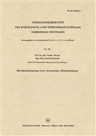 Walter Weizel - Betriebsbedingungen einer stromstarken Glimmentladung
