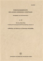 Helmut Weiß - Aufkohlung und Härtung von Sintereisen-Werkstoffen