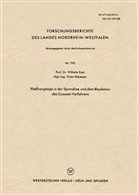 Wilhelm Kast - Fließvorgänge in der Spinndüse und dem Blaukonus des Cuoxam-Verfahrens