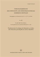 Franz Schwarz - Physikochemische Grundlagen der Bildsamkeit von Kalken unter Einbeziehung des Begriffes der aktiven Oberfläche