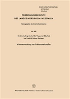 Ludwig Martin - Weiterentwicklung von Friktionswerkstoffen