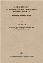 Walter Maximilian Fuchs - Studien über die thermische Zersetzung der Kohle und die Kohlendestillatprodukte