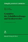 Kur Amonn, Kurt Amonn, Fridolin Walther - Grundriss des Schuldbetreibungs- und Konkursrechts