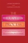 Candace Cotlove, Mark J. Thompson - Therapeutic Process a Clinicapb