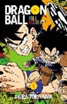 Akira Toriyama, Akira Toriyama - Dragonball Full Color