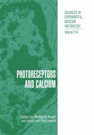 Wolfgan Baehr, Wolfgang Baehr, Palczewski, Palczewski, Krzysztof Palczewski - Photoreceptors and Calcium