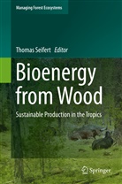Thoma Seifert, Thomas Seifert - Bioenergy from Wood