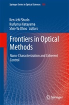 Ikufumu Katayama, Ikufumui Katayama, Shin-Ya Ohno, Ken-ichi Shudo - Frontiers in Optical Methods