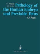Naom Fitch, Naomi Fitch, Dagmar Kalousek, Dagmar K Kalousek, Dagmar K. Kalousek, Barbara Paradice... - Pathology of the Human Embryo and Previable Fetus