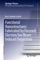 Rosa Córdoba Castillo - Functional Nanostructures Fabricated by Focused Electron/Ion Beam Induced Deposition