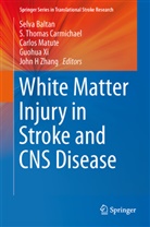 Baltan, Selva Baltan, S Thomas Carmichael, S. Thomas Carmichael, Carlos Matute, Carlos Matute et al... - White Matter Injury in Stroke and CNS Disease